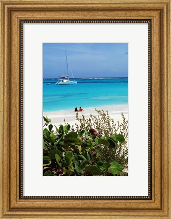 Framed Swimming the waters of Prickly Pear Island with Festiva Sailing Vacations Print