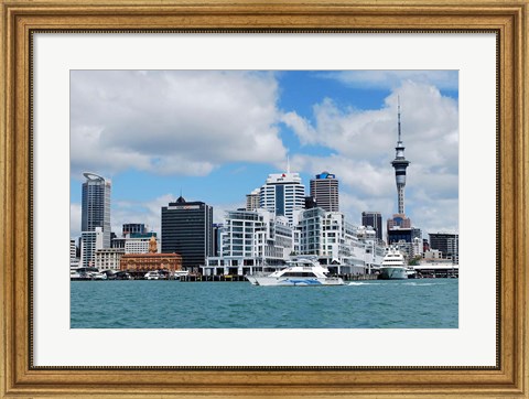 Framed Auckland Museum, Auckland, New Zealand Print