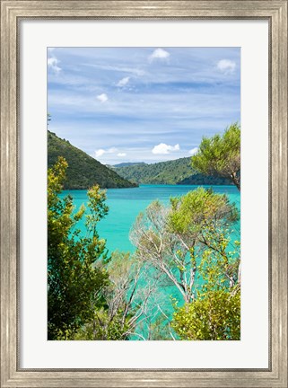 Framed New Zealand, South Island, Marlborough, Nydia Bay Print