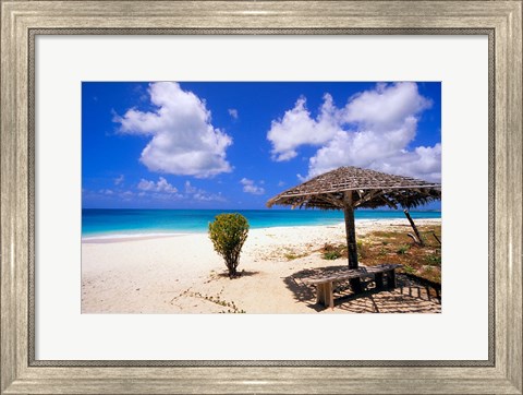 Framed Coco Point Beach, Barbuda, Antigua Print