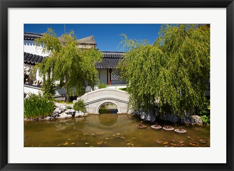 Framed Chinese Gardens, Dunedin, South Island, New Zealand Print