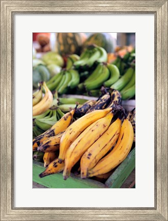 Framed Fresh bananas at the local market in St John&#39;s, Antigua Print