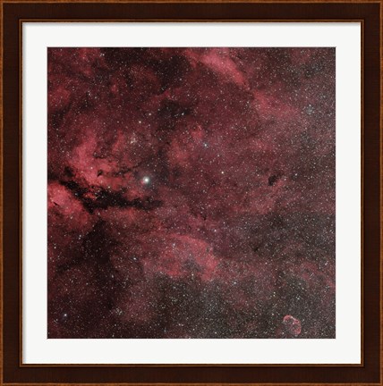 Framed Sadr Region with the Crescent Nebula Print