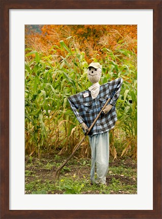 Framed New York, Cooperstown, Farmers Museum Fall cornfield with scarecrow Print