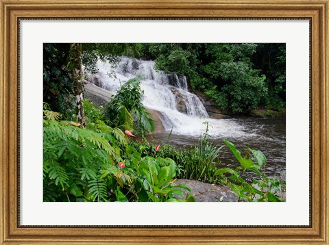 Framed Rainforest waterfall, Serra da Bocaina NP, Parati, Brazil (horizontal) Print