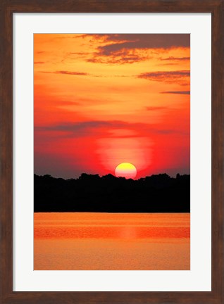 Framed Amazon Jungle, Brazil, Sunset Print