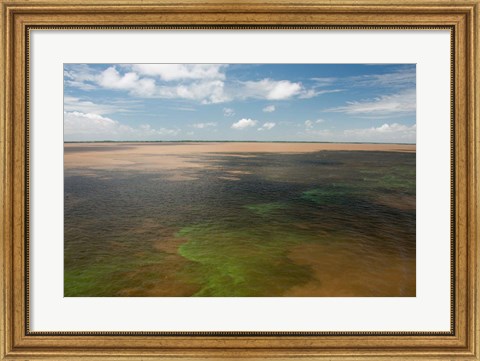 Framed Brazil, Amazon River, Algae bloom Print