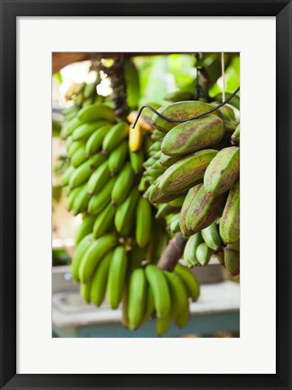 Framed Cuba, Vinales, El Jardin de Caridad, Bananas Print