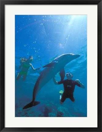 Framed Caribbean Sea, Curacao Print