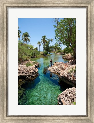 Framed Alligator Hole, Black River Town, Jamaica, Caribbean Print