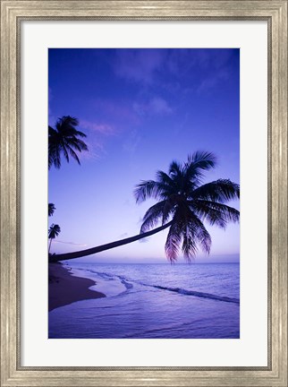 Framed Palm tree, Coconut Grove beach, Cade&#39;s Bay, Caribbean Print