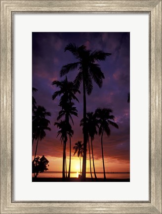 Framed Palm Trees at Sunset, Puerto Rico Print