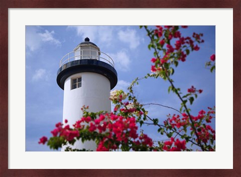 Framed Puerto Rico, Viegues Island, lighthouse of Rincon Print