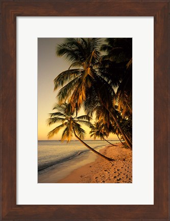 Framed Beach at Sunset, Trinidad, Caribbean Print