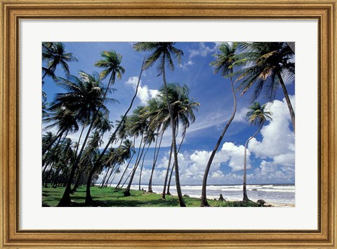 Framed View of Manzanilla Bay, Port of Spain, Trinidad, Caribbean Print