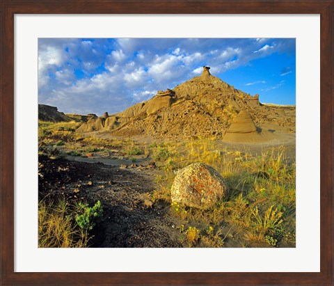 Framed Dinosaur Provincial Park in Alberta, Canada Print