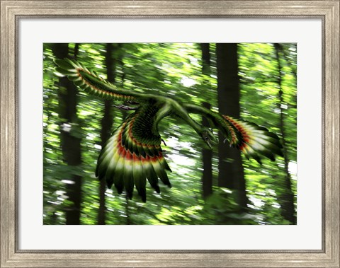 Framed Archaeopteryx flying through a forest Print