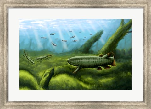 Framed Holoptychius, Tulerpeton and Moythomasia, prehistoric fish of the Devonian period Print