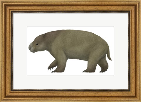 Framed Diprotodon, the Largest know Marsupial Print