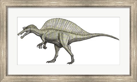 Framed Albino Spinosaurus Print