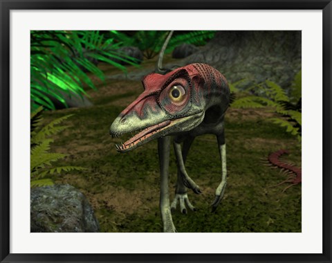 Framed Compsognathus wanders a Late Jurassic Forest Print