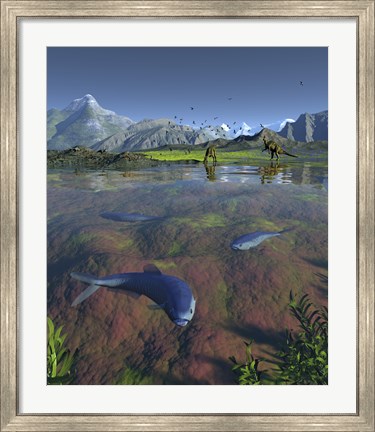 Framed Fanged Enchodus Predatory Fish From the Late Cretaceous Period Print
