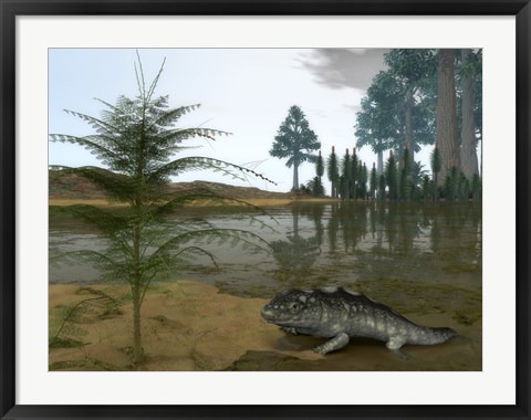 Framed Late Devonian Ichthyostega emerges from Waters of a Floodplain Print
