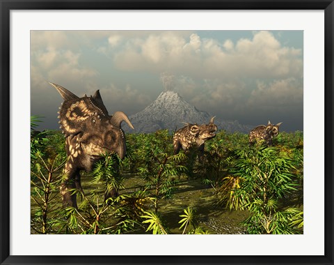 Framed Herd of Plant-Eating Einiosaurus Roam the Plains Print