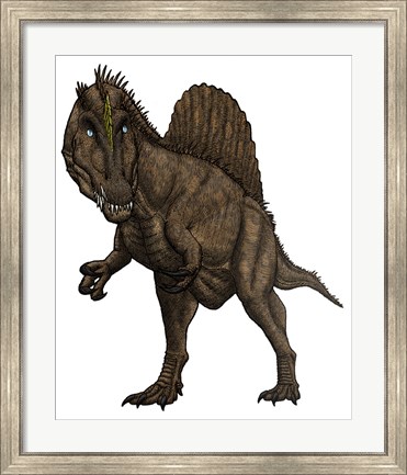 Framed Oxalaia Dinosaur from the Late Cretaceous Period Print