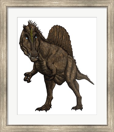 Framed Oxalaia Dinosaur from the Late Cretaceous Period Print