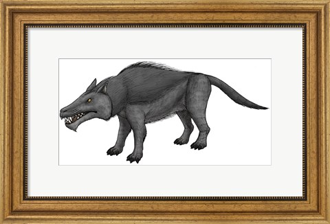 Framed Andrewsarchus, an Ungulate Mammal from the Eocene Epoch Print