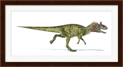 Framed Cryolophosaurus Dinosaur on White Background Print