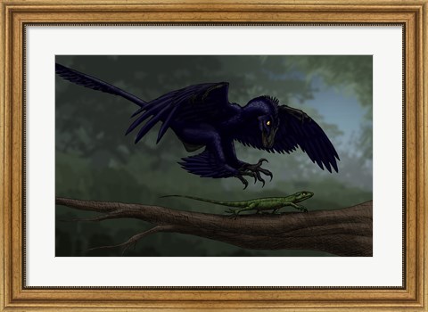 Framed Microraptor Hunting a Small Lizard on a Tree Branch Print