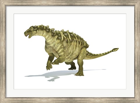 Framed Talarurus Dinosaur on White background Print