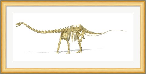Framed 3D Rendering of a Diplodocus Dinosaur Skeleton Print