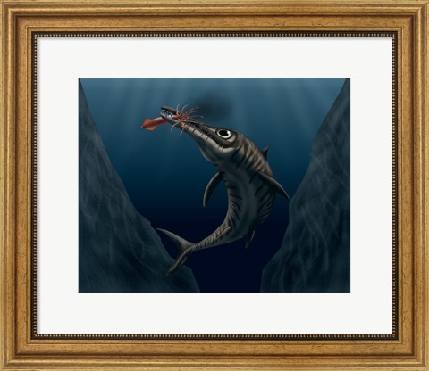 Framed Ophthalmosaurus Catches a Squid in the Deep Sea Print