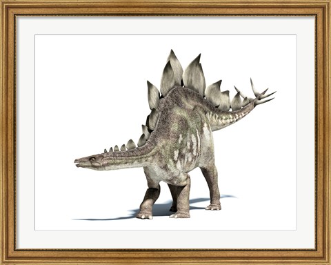 Framed 3D Rendering of a Stegosaurus Dinosaur Print