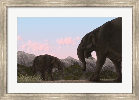 Framed Two Deinotherium, an Extinct Animal of the Miocene Epoch Print
