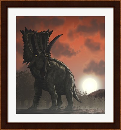 Framed Coahuilaceratops Walking through a Cretaceous Sunset Print