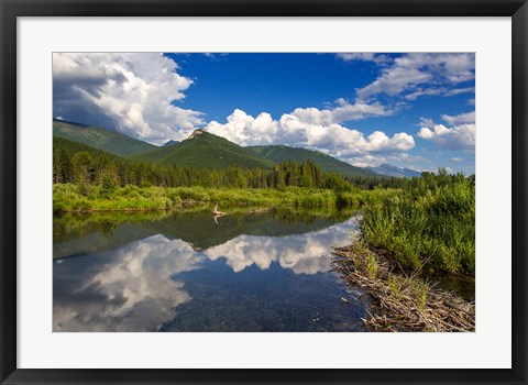 Framed Beaver pond along the Flathead River near Fernie, British Columbia, Canada Print