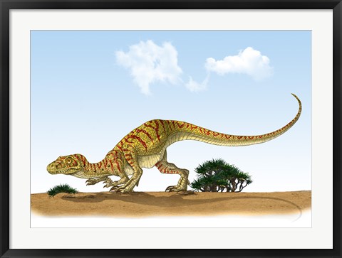 Framed Eoraptor, an early Dinosaur that Lived During the Late Triassic Period Print