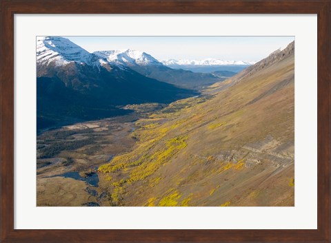 Framed Todagin South Slope Provincial Park, British Columbia Print