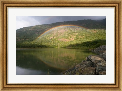 Framed Buttle Lake, Vancouver Isl, British Columbia Print