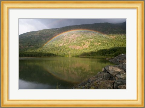 Framed Buttle Lake, Vancouver Isl, British Columbia Print