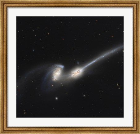 Framed NGC 4676, also Known as the Mice Galaxies Print