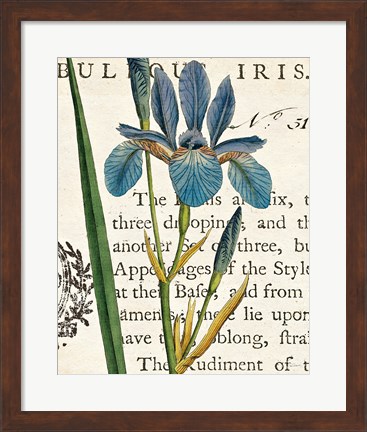 Framed Iris Letter Print
