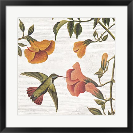 Framed Vintage Hummingbird II Print