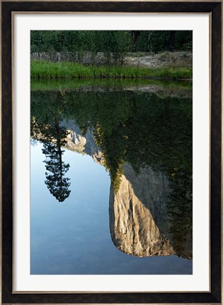 Framed Reflection of El Capitan in Mercede River, Yosemite National Park, California - Vertical Print