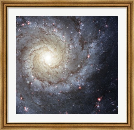Framed Spiral Galaxy M74 Print