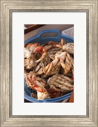 Framed Dungeness Cooked Crab, Queen Charlotte Islands, Canada Print